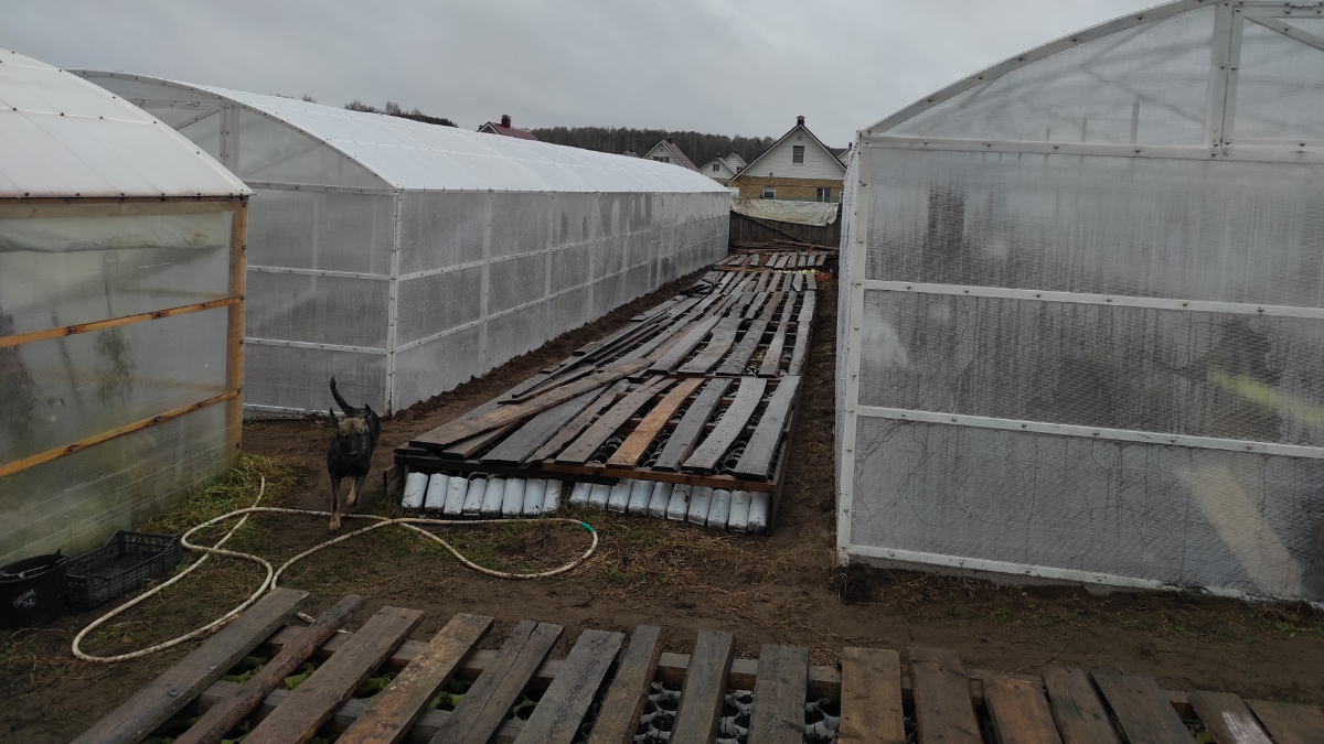 Вскрываем наши каркасы с растениями