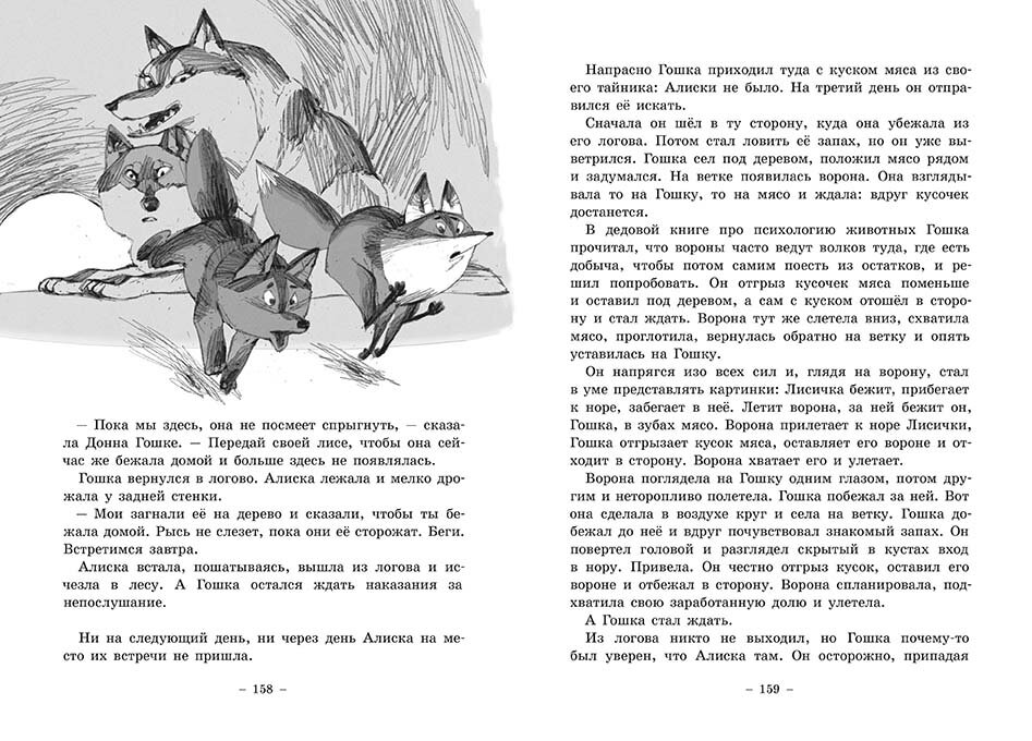 Разворот из книги Г. Книжника "Гошка-волчонок"