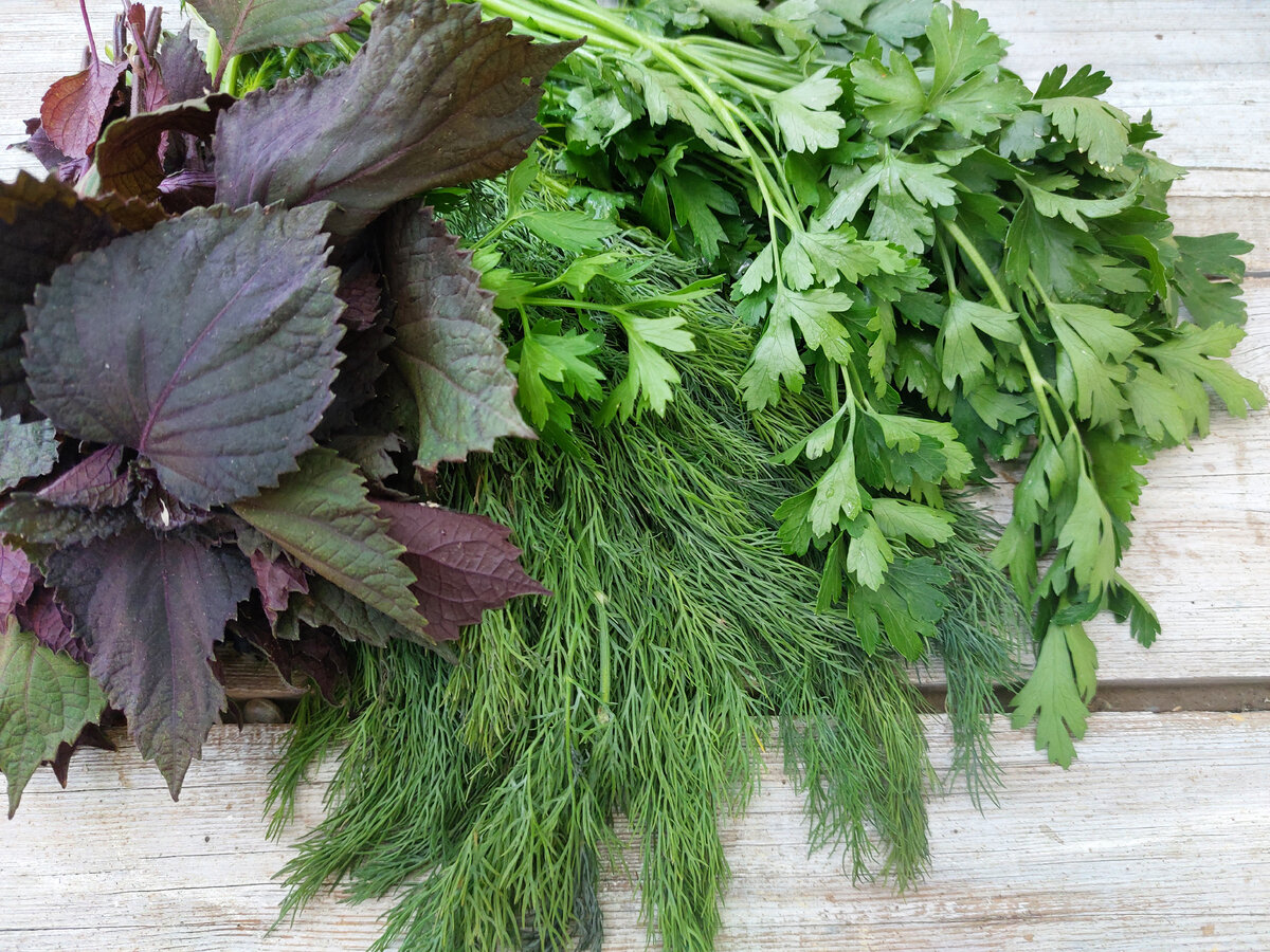 Фото автора Рецепт острой приправы