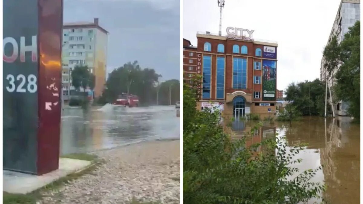 Фото: кадр из видео