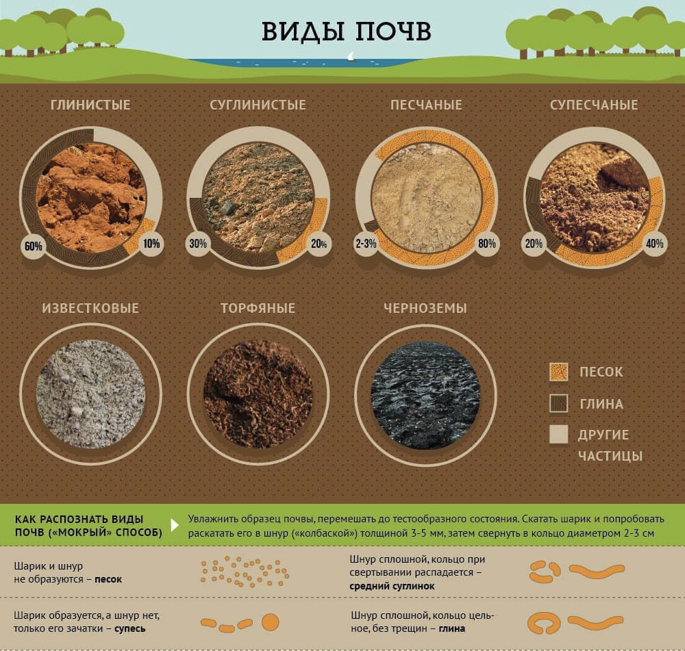 Какие виды почв. Почвы бывают. Грунт бывает. Грунт бывает. Виды почв.