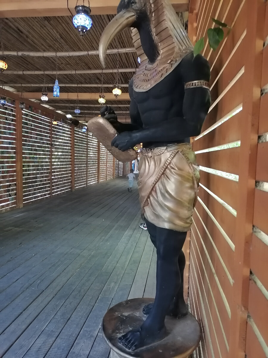 Краснодар, Зоопарк на  Солнечном Острове. Фото автора, 2023 год. Больше фото в карусели.