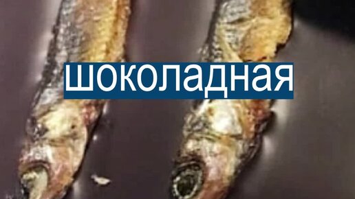 Короче, новости | Рыба в шоколаде: странный десерт из России | Дзен