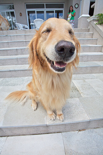 Опухоли носовой полости