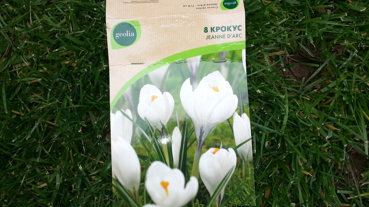 ССЫЛКА: https://www.youtube.com/watch?v=cx1d-VhBODA