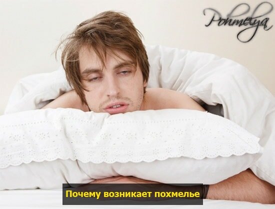 Что стоит выпить перед употреблением алкоголя