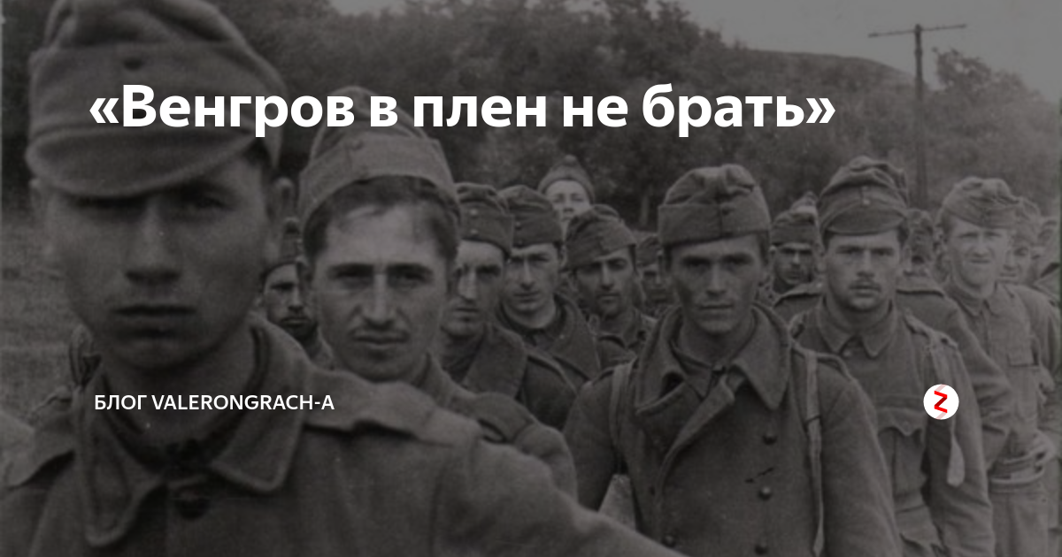 Венгр и я блог. Венгерские военнопленные 1943. Пленный Мадьяр.