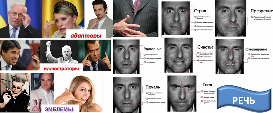Как распознать ложь по мимике и жестам. Распознавание лжи по мимике и жестам. выявление лжи по мимике и жестам. эмоции политиков. жесты профайлинг.