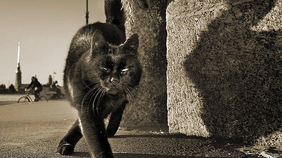 
Фото:Александр Петросян / Коммерсантъ
