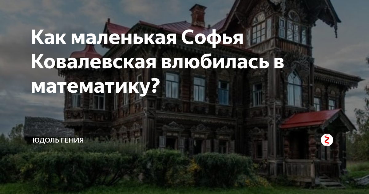 Как маленькая Софья Ковалевская влюбилась в математику? | Юдоль гения ...