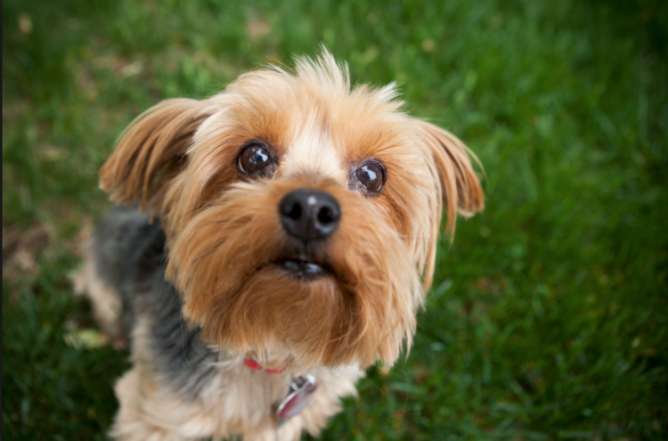 "А лайк и подписку можно?" 😊 😋