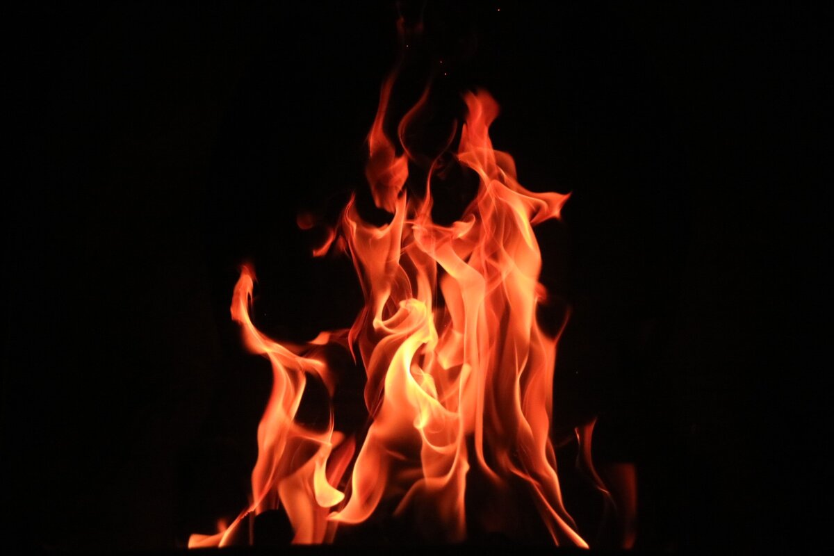 Изображение взято с сайта https://unsplash.com/