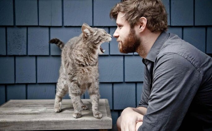 Фото: kotello.ru