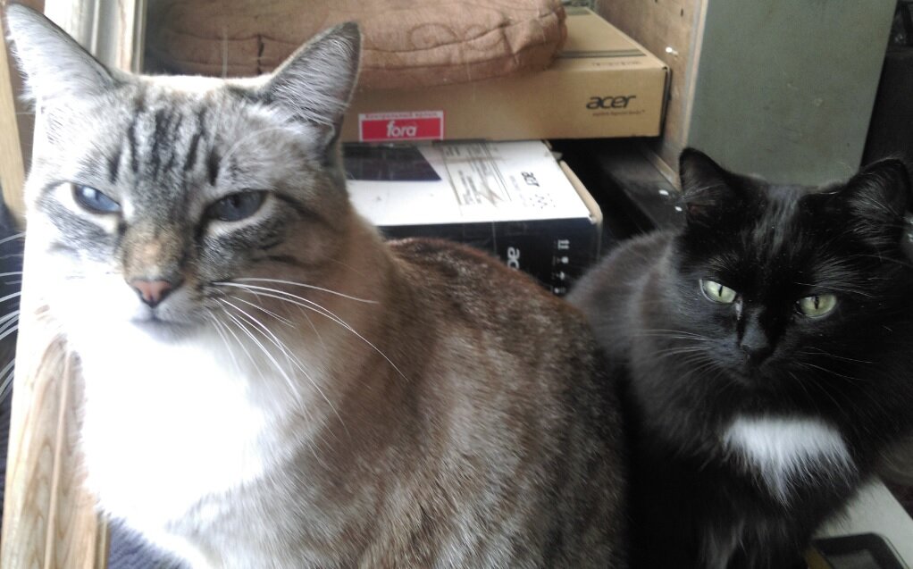 Мы хотим странного и ты должен с этим срочно разобраться! Подсказка: "Колбаса"!