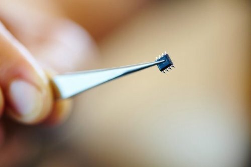 Фото: Public Domain