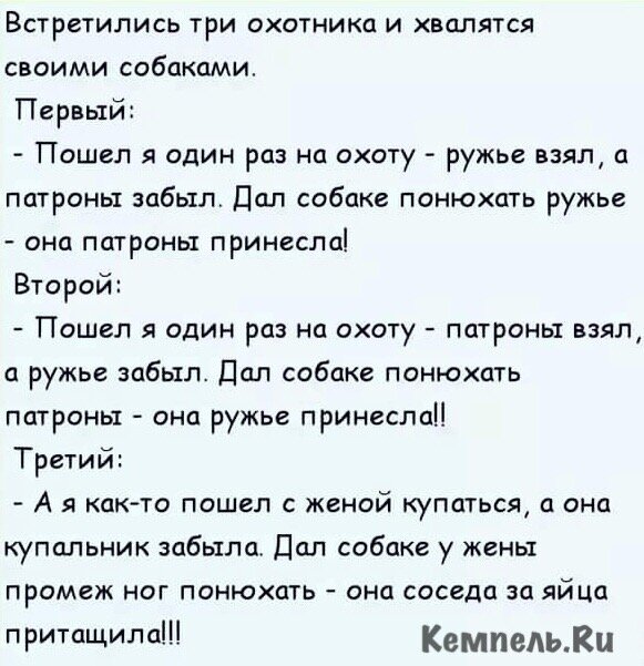 Анекдот про медведя иди сюда. Анекдоты про охотников. Анекдот про охотника. Анекдоты про охотников самые смешные. Смешной анекдот про охотника.