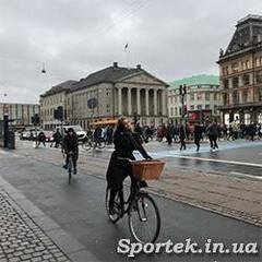 Опубликовано: 08.01.2019