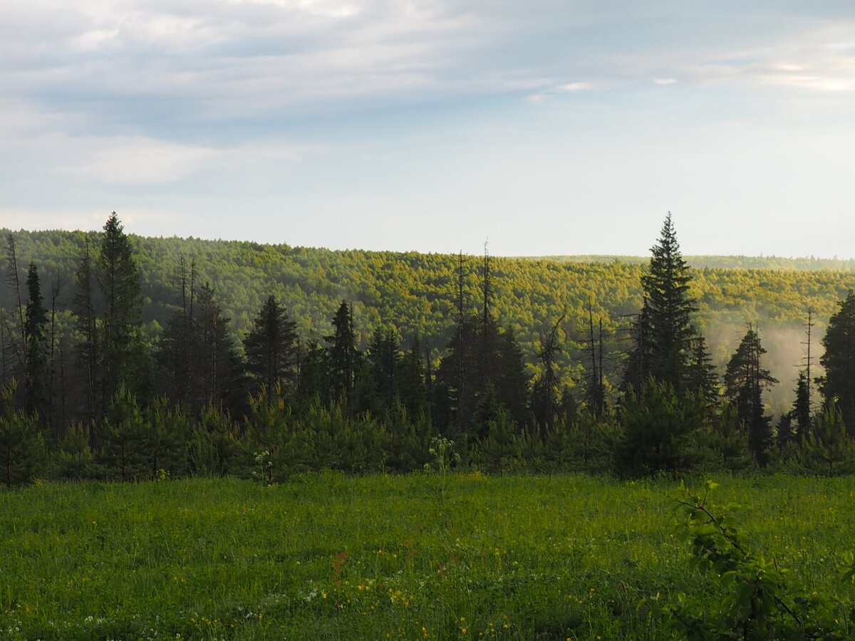 Каменная гора Куженерский район