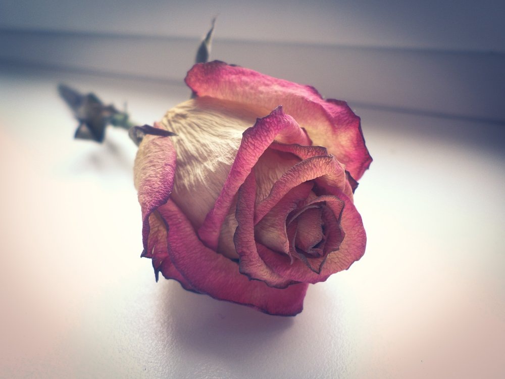 35photo.ru
