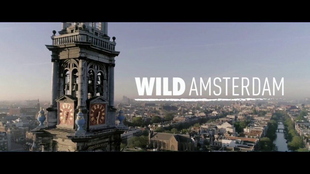 Источник фото: http://www.ecocup.ru/ru/movies-ru/wild-amsterdam-ru/