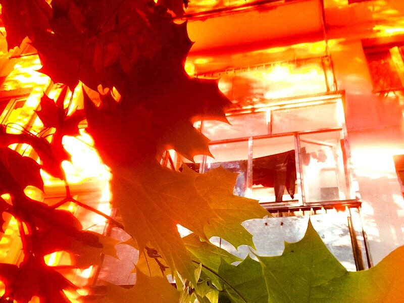 Пример работы цветного фильтра