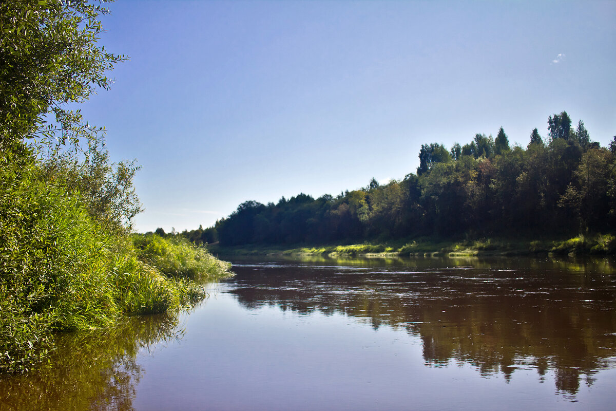 Река мста новгородская область