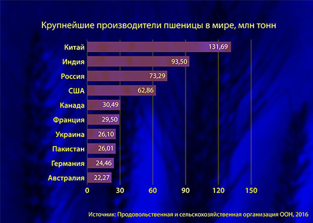 Самое крупное производство в мире