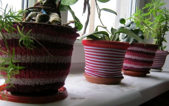 Фото взято из Яндекс. Картинки