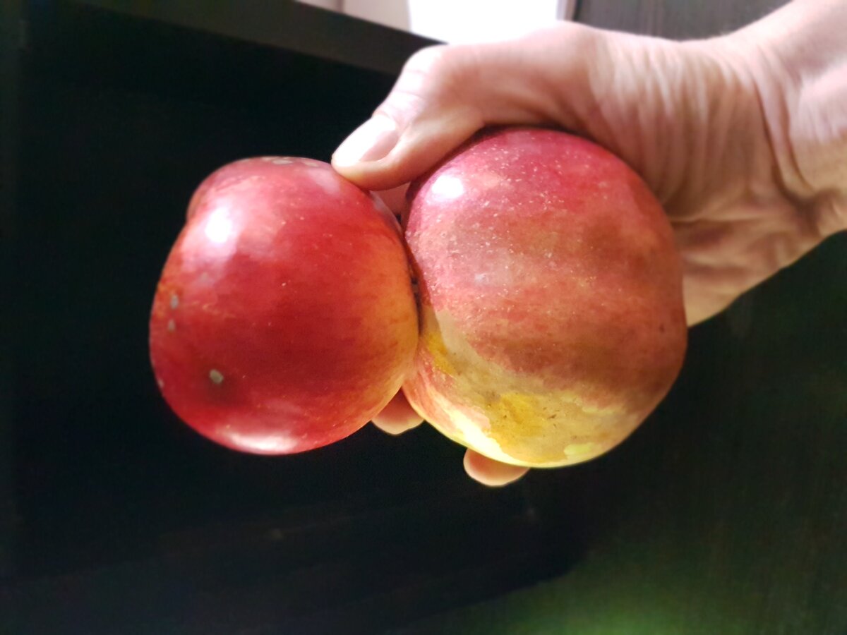 Атас - лучшее что было в детстве!