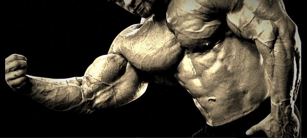 Большой бицепс