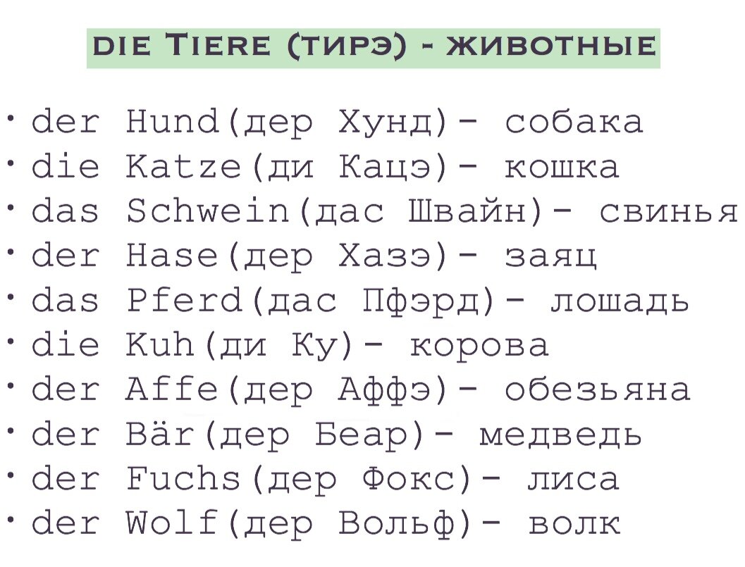 Животные на немецком (часть 1) | Немецкий каждый день | Дзен