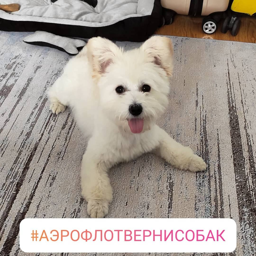 https://www.instagram.com/lizzivanova/