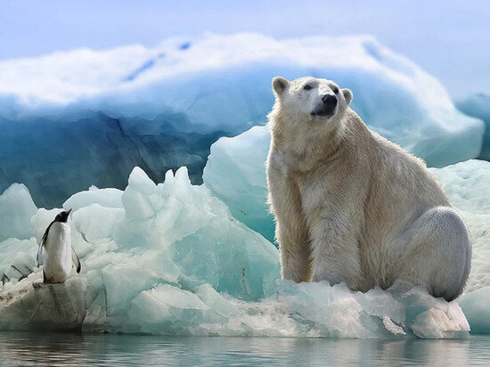 ФОТО: PIXABAY.COM