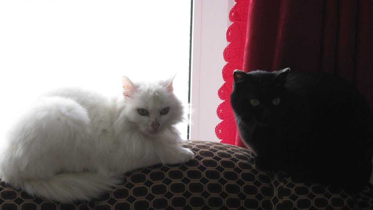 Дождались...