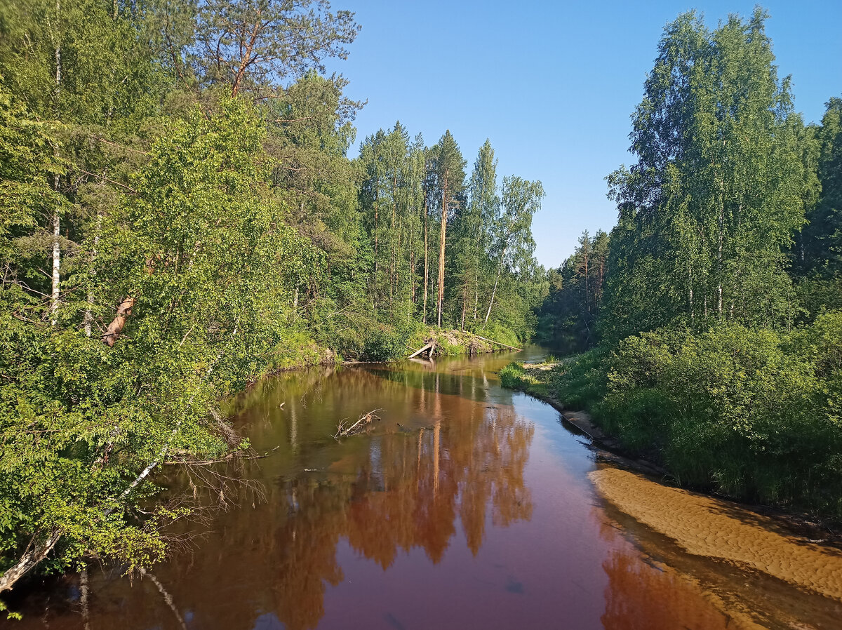 Любимовка - село в Костромской области | Иван Сусанин | Дзен