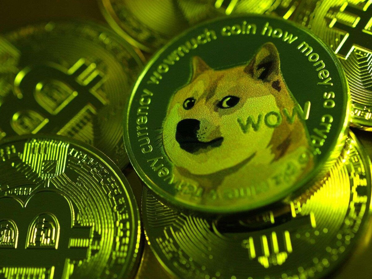 Криптовалюта Dogecoin (DOGE): обзор, история популярности и перспективы |  ProFunds.ru | Дзен