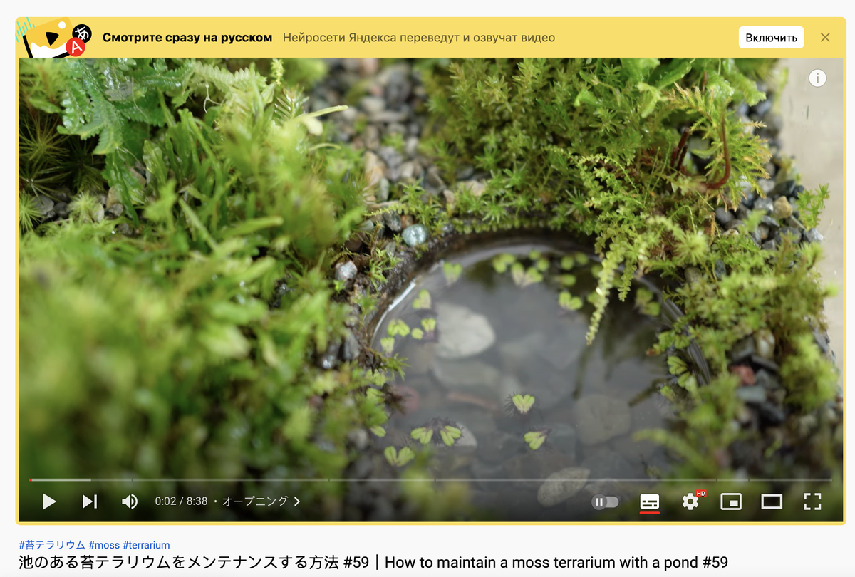 Функция перевода от Яндекс Браузера