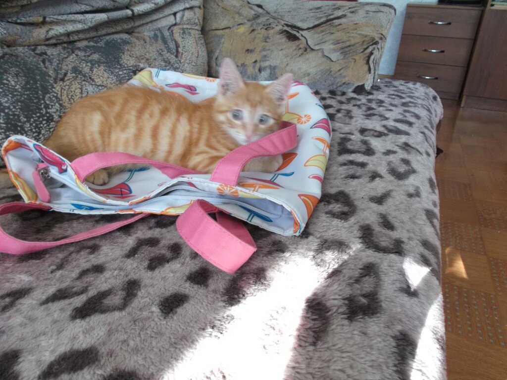 Вот таким Масяня к нам попал))).