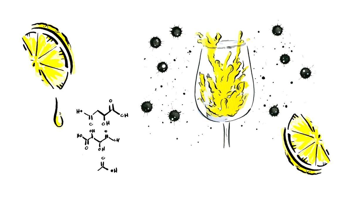 Кислотность. Фото из https://mag.sommtv.com/2021/11/high-acidity-wine/