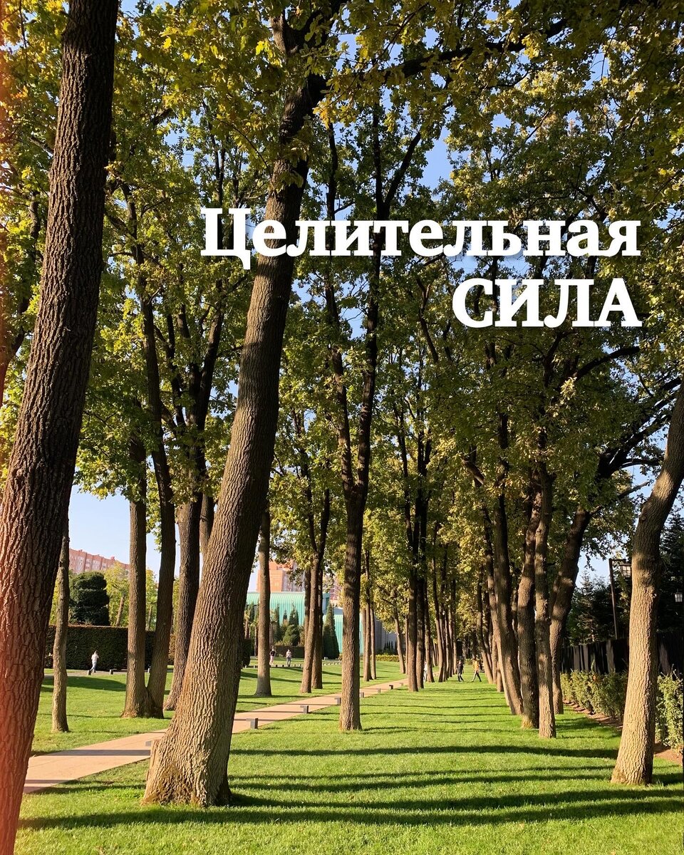 Целительная сила благодарности 