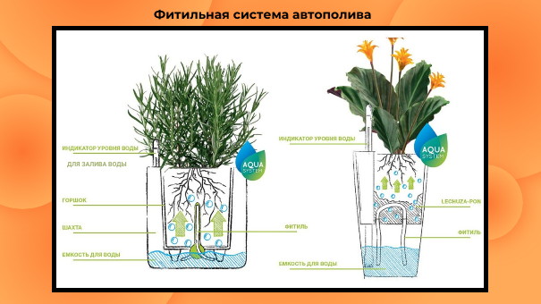 Факторы, влияющие на выбор устройства
