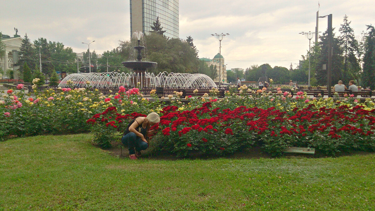 Донецк город миллиона роз