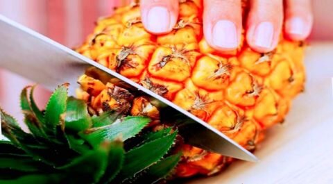  Резать нужно, отступив от листьев на несколько сантиметров