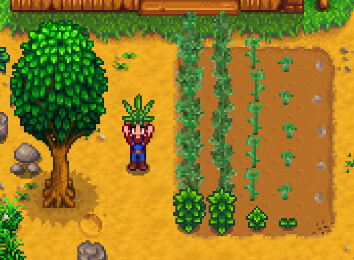 Деревья стардью. Абрикос Stardew Valley. Stardew Valley абрикосовое дерево. Stardew Valley мод на марихуану.