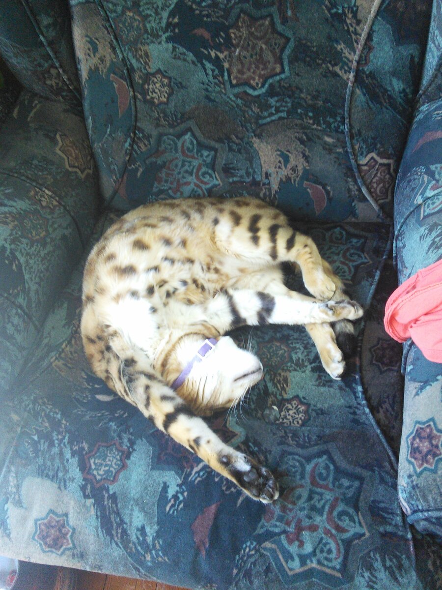 Ещё маленький Нарцисс.