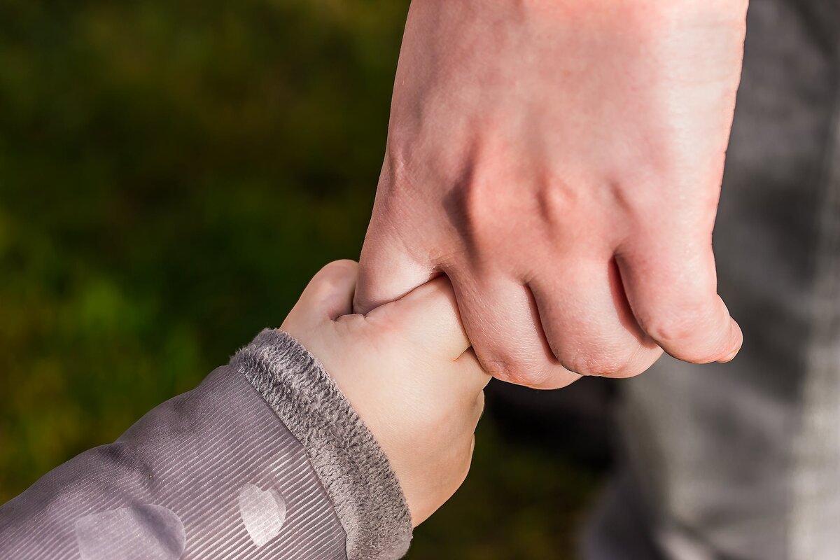 Источник фото: pexels.com