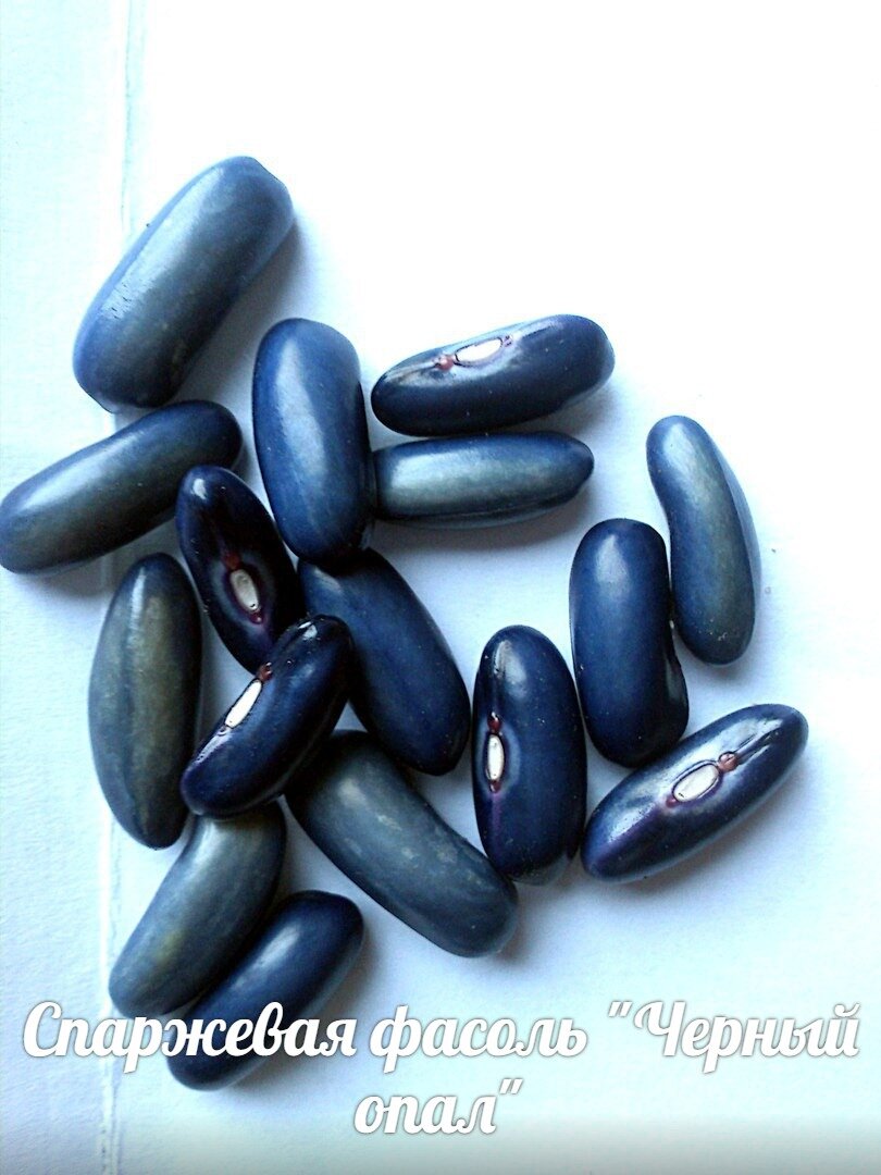 ЭТО НЕ ФОТОШОП- ОНА РЕАЛЬНО СИНЯЯ, ЖУТЬ!