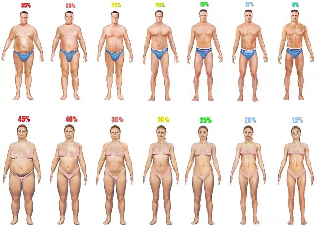 15 жира у мужчин фото