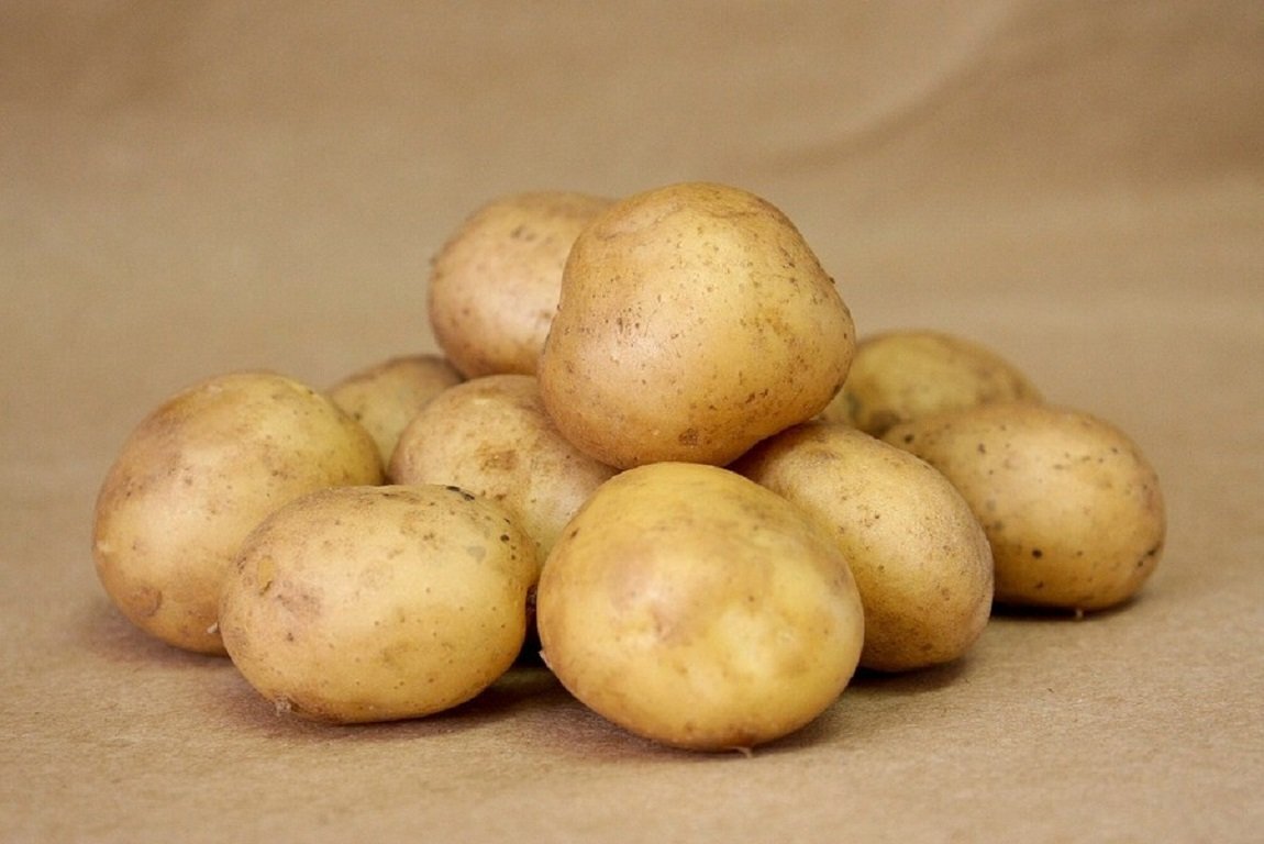6 лучших сортов картофеля для пюре