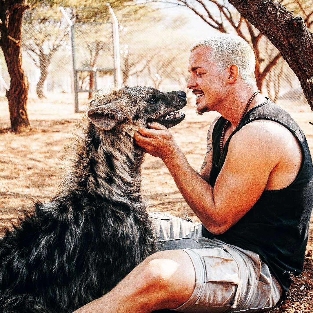 Бонобо спаривание. Шимпанзе бонобо спариваются. Шимпанзе бонобо спариваются самки. Как называют человека который занимается животными. Как называют человека который занимается животными.